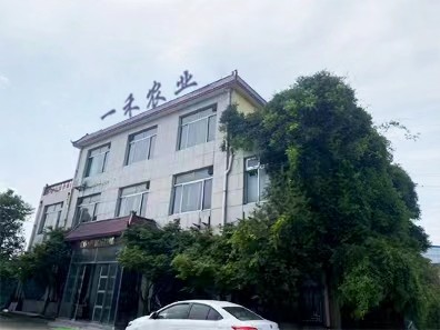 China Shandong Yihe Agricultural Technology Co., Ltd. Unternehmensprofil