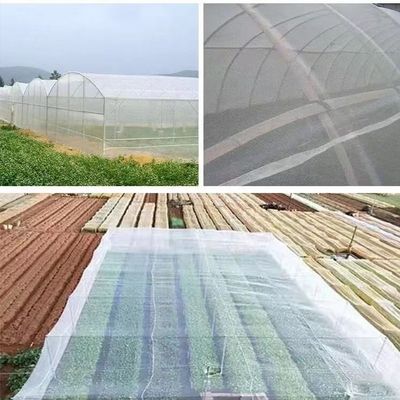Durchsichtige HDPE UV-Plastikmaschen Gewächshaus Insektennetze für Schatten Segel Schranken Netze Wirksame Schädlingsbekämpfung