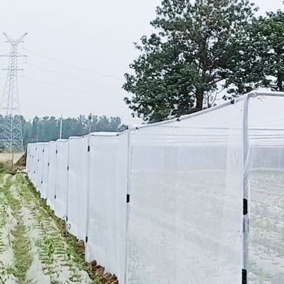 PE Landwirtschaft Polyethylen-Insektennetz für Bäume und Gemüsegärten 20 Maschen