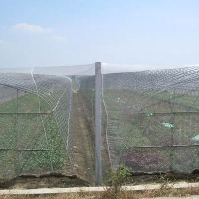PE Landwirtschaft Polyethylen-Insektennetz für Bäume und Gemüsegärten 20 Maschen