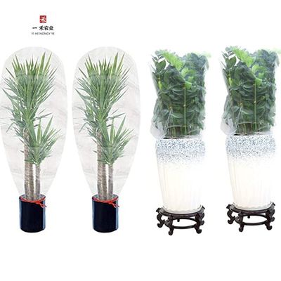 HDPE Anti-ultraviolette Insektennetzbeutel für Fruchtschutzlösung