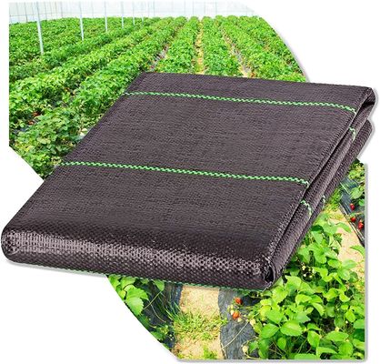 UV-beständige Kunststoff PP Anti-Unkraut-Agro-Unkraut-Kontrollmatte für Garten Boden-Abdeckung Stoff