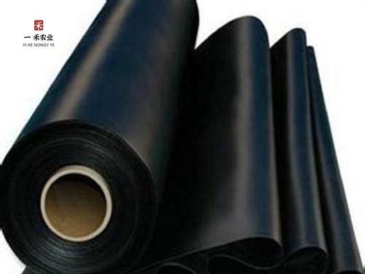 HDPE-Geomembran-Liner für Bergbau Stausee Staudamm Fischbecken Garnelenfarm
