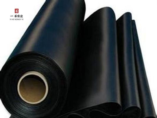 HDPE-Geomembran-Liner für Bergbau Stausee Staudamm Fischbecken Garnelenfarm