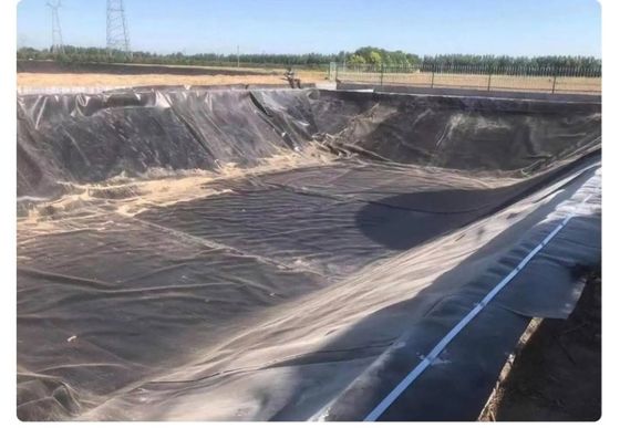 HDPE-Geomembran-Liner für Bergbau Stausee Staudamm Fischbecken Garnelenfarm