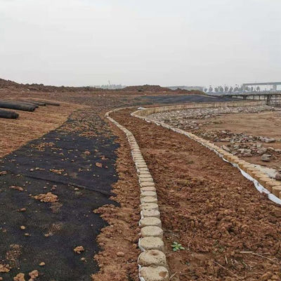 Montierte dreidimensionale Hängegrasschutzdecke für dauerhafte Erosionsbekämpfung von Wasser