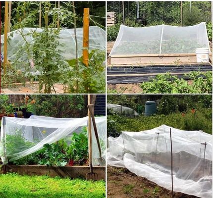 HDPE-Kunststoff-Faltnetz für Gartennetze Insektennetz 20/30/40/50 Jungfrau