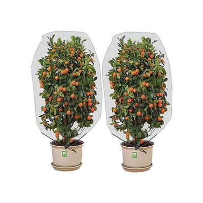 HDPE/PE/PP Kunststoff-Zugseil-Insektennetz zur Vogelschutzung Obstgärten Gärten Gemüse Blumen Früchte Weiß nicht beschichtet
