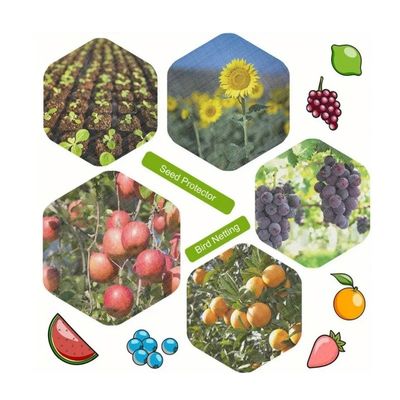 HDPE UV Plastiknetz Insektenbeständig Gewächshaus Anti-Insektennetz für Gemüsegarten Landwirtschaft