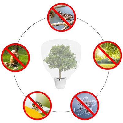2.5M*10M Gewächshaus Insektenbarriere Vogelnetz Fester Gemüsegarten Insektennetz zum Schutz der Landwirtschaft