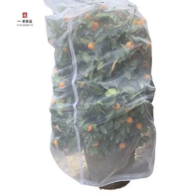 Nachhaltiges 40 60 80 Maschen-Schutznetz gegen Insekten Gewächshäuser Agrar Tomaten Schutznetz gegen Insekten Transparentes Aphid-Schutznetz