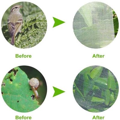 Nachhaltiges 40 60 80 Maschen-Schutznetz gegen Insekten Gewächshäuser Agrar Tomaten Schutznetz gegen Insekten Transparentes Aphid-Schutznetz