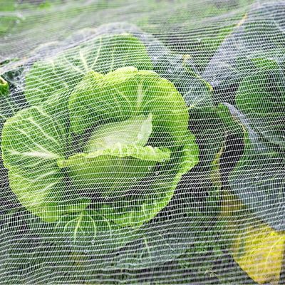 TRAPS Kunststoffgartennetze für Pflanzen Schädlingsschutz Flieg-Würmer Vogel-Insekten-Schutz-Schutz-Schutz-Schutz-Schutz-Schutz-Schutz-Schutz-Schutz-Schutz-Schutz für Pflanzen
