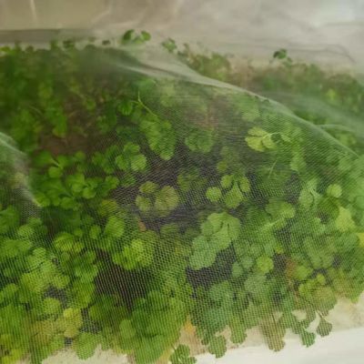 TRAPS Kunststoffgartennetze für Pflanzen Schädlingsschutz Flieg-Würmer Vogel-Insekten-Schutz-Schutz-Schutz-Schutz-Schutz-Schutz-Schutz-Schutz-Schutz-Schutz-Schutz für Pflanzen