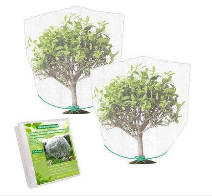 Gartennetze aus Nylon und HDPE zum Insektenschutz von Früchten, Blumen und Gemüse vor Mücken und Fliegen