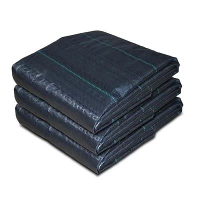 Schutzmembran aus PP Gewebe PE Bodenbedeckung Mesh Weed Mat Roll Anti-Grass Weed Mulch Film