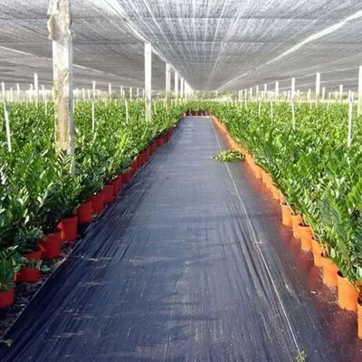 Schutzmembran aus PP Gewebe PE Bodenbedeckung Mesh Weed Mat Roll Anti-Grass Weed Mulch Film