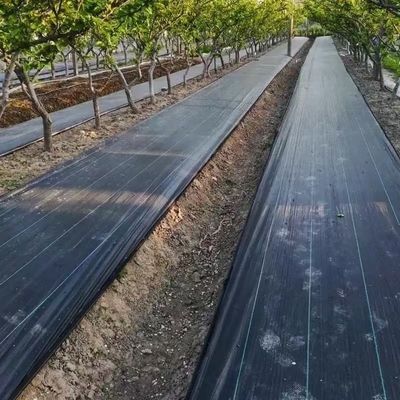 Schutzmembran aus PP Gewebe PE Bodenbedeckung Mesh Weed Mat Roll Anti-Grass Weed Mulch Film