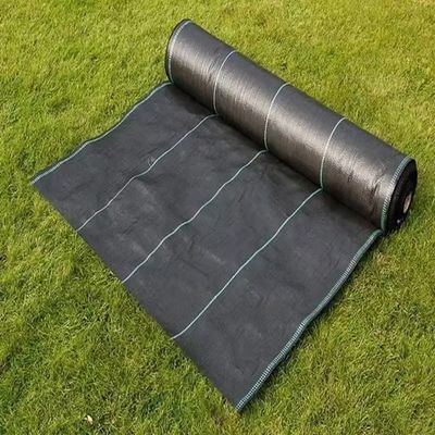 Schutzmembran aus PP Gewebe PE Bodenbedeckung Mesh Weed Mat Roll Anti-Grass Weed Mulch Film