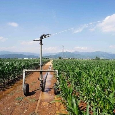 Schlauchrollenbewässerung Vielseitiges automatisches Bewässerungsgerät mit verstellbaren Sprühmustern Durchmesser 236cm IoT-Technologie