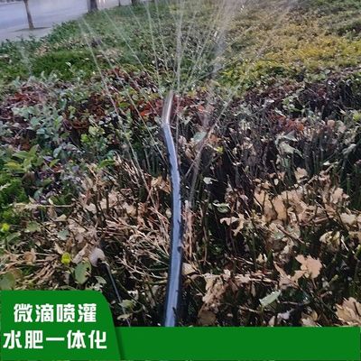 20mm-75mm Regen Schlauch Garten Bauernhof Bewässerung Regenband Mikrospray Schlauch Dauerhafte Kunststoffmaterial für die Gartenbewässerung