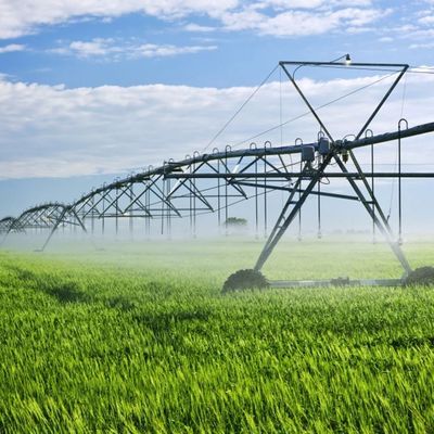 Zentrum Pivot Irrigation Circle/Pivot Irrigation System 650 KG Irrigationsreifen mit 90 Zoll Durchmesser im Jahr 2024