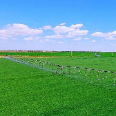 Fertigungsanlage 2025 Bewässerungsradlinie Seitenlandwirtschaftliche Bewässerungsanlage für Pivotbewässerungsmaschine
