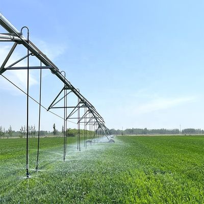Restaurants Landwirtschaftszentrum Drehbewegungsbewässerungssystem Kernlagerkomponenten Maschine Boom
