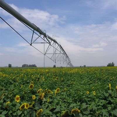 Restaurants Landwirtschaftszentrum Drehbewegungsbewässerungssystem Kernlagerkomponenten Maschine Boom