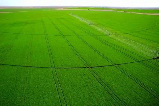 Langfristiger Landwirtschaftserfolg mit unserem 30 Zoll Durchmesser Zentrum Dreh-System genaue Wasserverteilung und robuste Bauen