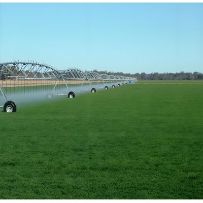2025 Doppelrad-Linear-Move-Farmbewässerungssystem für Landwirtschaft und Baumwollanbau