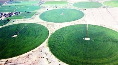 Spitzentechnische Zentrum-Pivot-Farmen für fortschrittliche Bewässerung mit Fernüberwachung