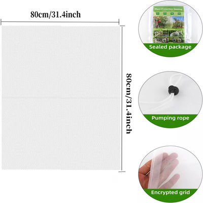 6*9 Zoll Nylon-Netz-Tasche zum Schutz von Gartenpflanzen und Früchten Abschied von schädlichen Pestiziden