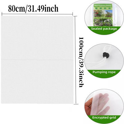 6*9 Zoll Nylon-Netz-Tasche zum Schutz von Gartenpflanzen und Früchten Abschied von schädlichen Pestiziden