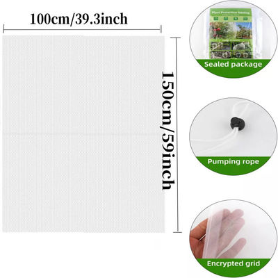 6*9 Zoll Nylon-Netz-Tasche zum Schutz von Gartenpflanzen und Früchten Abschied von schädlichen Pestiziden