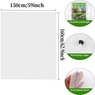 6*9 Zoll Nylon-Netz-Tasche zum Schutz von Gartenpflanzen und Früchten Abschied von schädlichen Pestiziden