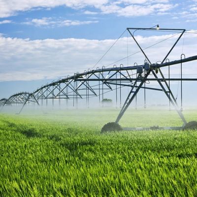 Steigern Sie die Produktivität Ihrer Farm mit Metall-Zentrum-Pivot-Seiten-Linear-Bewegung-Seiten-Roll-Landwirtschaft-Bewässerungssystem