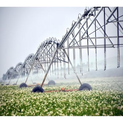 Verbessern Sie Ihre landwirtschaftliche Effizienz mit unserem automatischen Bewässerungssystem für Landwirtschaft Metallzentrum Dreh- und Seitenbewegung