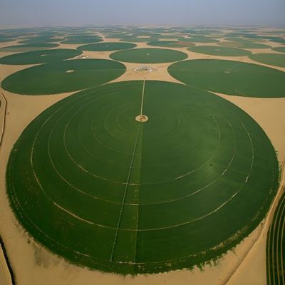 Große Landwirtschaft Lineare Seitenbewässerungsanlage für Produktionsanlagen Weizenpumpen Ausrüstung Kern Verkauf