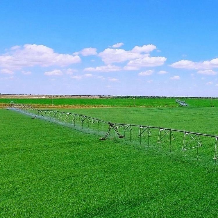 168 cm Durchmesser Landwirtschaftsmaschinen Bewässerungssystem Zentrum Drehschaltsprinkler für landwirtschaftliche Anwendungen